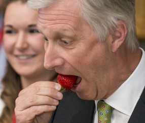 Baccarat Gaming-阿尔梅里亚吞下比虎，被踢出杯赛